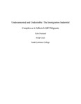 Undocumented and Undesirable: The Immigration Industrial Complex as it Affects LGBT Migrants